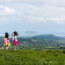 바람불어좋은날 이미지
