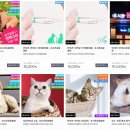 포시즌 동물병원 이미지