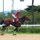 캡틴축산 이미지