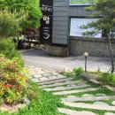 큰나무집궁중약백숙 이미지