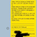 1:1 맞춤 초보도 가능한 프로그래밍