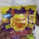 개키우는 언니 | 2025년 11월 인도네시아 일상 #1 - 인생 난이도 오졌던 11월 후기 + 한국 휴가