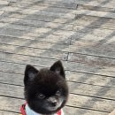 오픈에듀 이미지