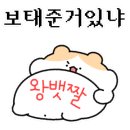 숭덕분식