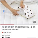 모아나카페 - 제주시 고마로 133 | 강아지 산책가방 겸 방수매트 후기 | 모아나의 카페 자리가 된 자방 쿨매트