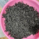 삼겹살 구워드실때도 같이 구워드시면 맛도 좋고 톳밥 톳전 톳된장국 톳무침등 해드실수 있는 제주도 자연산 말린톳 주문받습니다 이미지