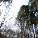 송광축산 | 140315 순천조계산 산행후기 및 지도