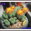 워시원 - 관악구 대학10길 22 | 워시원
