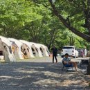 사담관광농원캠핑 이미지