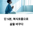 단 5분 복식호흡으로도 스트레스가 사라진다면? 직접 실천해본 진짜 후기