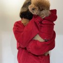 큰댕이네 이미지