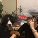 티아라펫 이미지