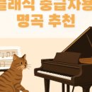 new 피아노 반주(기초~체르니100) | [레슨 후기] 중급 취미생을 위한 피아노 레슨 후기｜클래식 곡을 더 깊이 있게