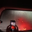 한라산해장국 이미지