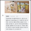 my fluffy(마이 플러피)