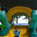 위바운스 Daum카페