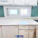 백두그린 이미지