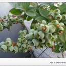 인지농장 이미지