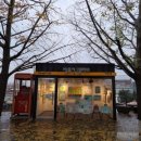 염치읍 은행나무길 이미지