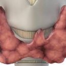 더블유세종어진건강의원 이미지