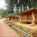 장흥편백랜드
