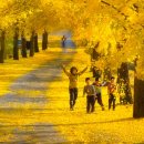 의동마을 이미지