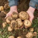 김경길농장 이미지