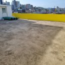 바미애견유치원 네이버블로그