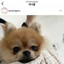 포벤져스