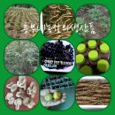 흥부축사 이미지