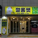 깔롱펫 이미지