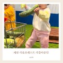 제천 리솜포레스트 리틀 마운틴 22개월 키즈카페 솔직 후기