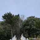 대평 목장 이미지