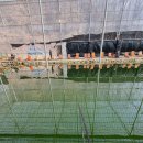 조마낚시터 이미지