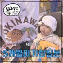 에코빌리지11 | 5개월 아기랑 오키나와 3박4일 여행후기 <1>
