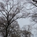 행정4길 | 경기옛길 경흥4길 파발막길