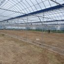 양구살수 이미지