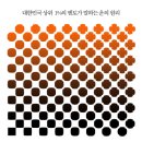 오래된 비밀 (이다미디어) 10 이미지