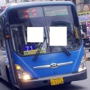 인천 71번(구 700-1번) 간선(강화터미널-창리-세광A-강화소방서-안양대 강화캠퍼스-강화군 농업기술센터...
