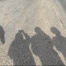 베베커피로스터즈