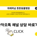 더 건강한 동물병원 네이버블로그