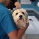 도곡2-106 이미지