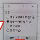 엑셀에서 컨트롤 + 같이 누르면 행이나 열 추가 되잖아 근데 나는 안되고 자꾸 창이 떠 이미지