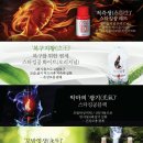 루정헤어