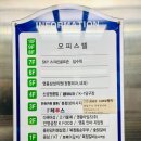 벌툰영종 이미지