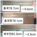 손미담