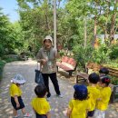 6월 숲체험 - 봉제산 근린공원 🌳 이미지