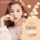 단델리온 이미지