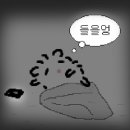 강화도마리마리