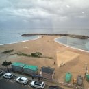 아트펫 | 속초 펜션 추천 - 지세다 미디어아트&amp;펫펜션 자세한 후기